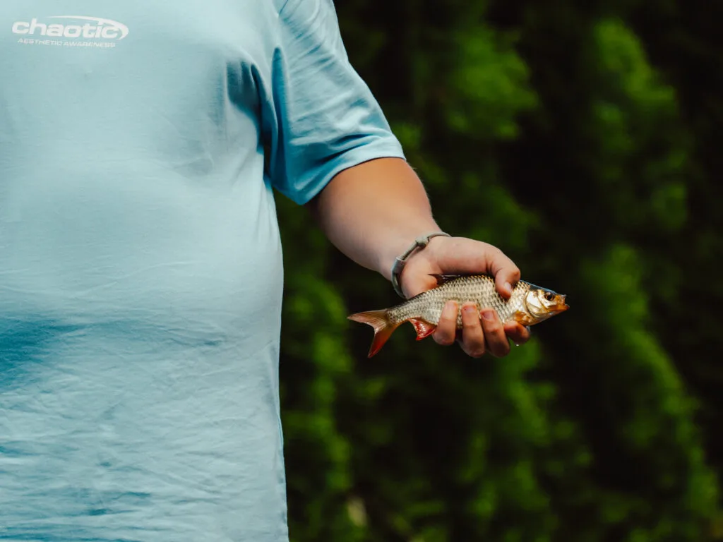 Frisch gefangener Fisch aus dem Moorsee in der Hand