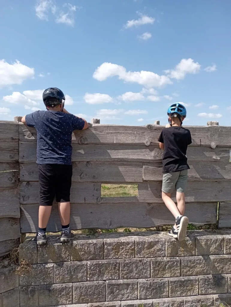 Vater und Kind am Holzgeländer eines Aussichtspunkts