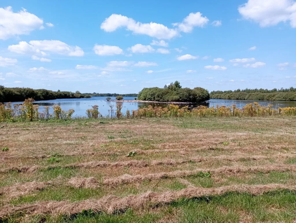 Blick über einen See im Naturschutzgebiet