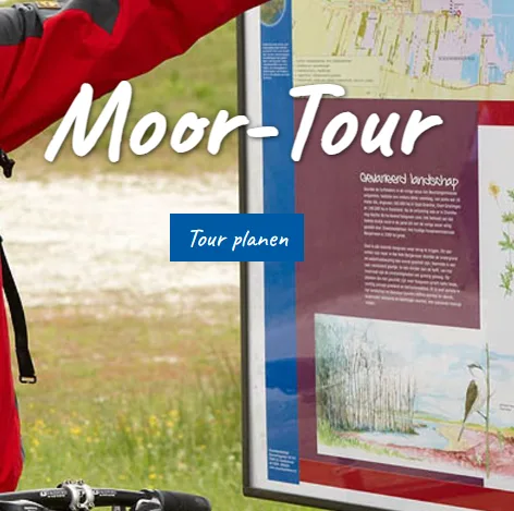 Infotafel in der Moorlandschaft