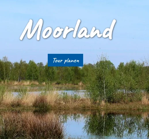 Moorlandschaft mit Wasserflächen als Tourenbild