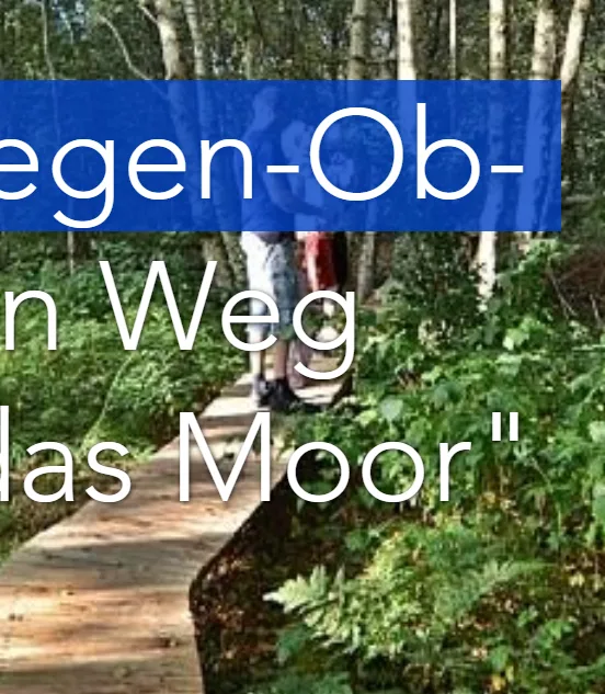 Titelbild einer Wanderung durchs Moor