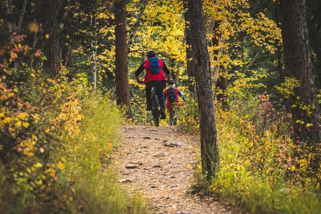 Mountainbiker auf einem Waldweg im Herbst