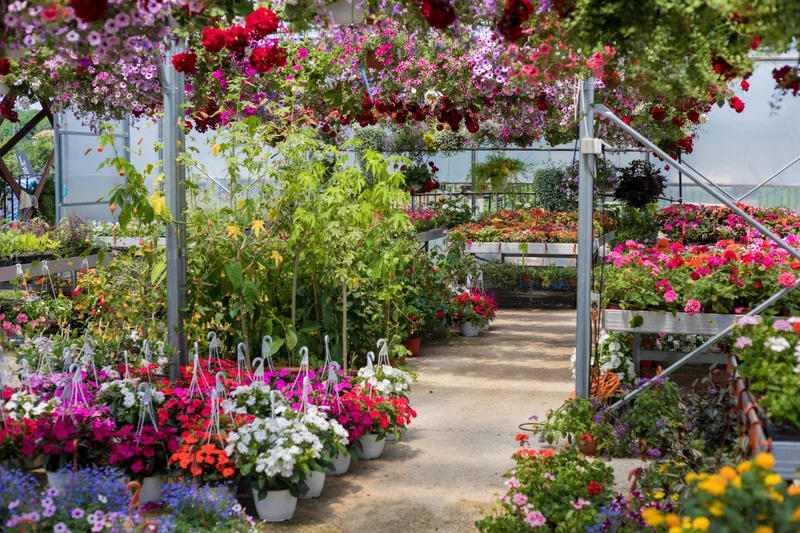 Blumen und Pflanzen im Gartencenter